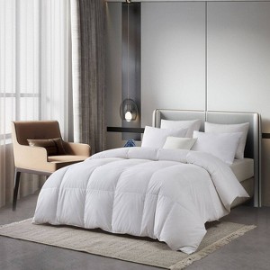 Serta All Seasons Cotton Blend European Down Comforter - 1 of 4