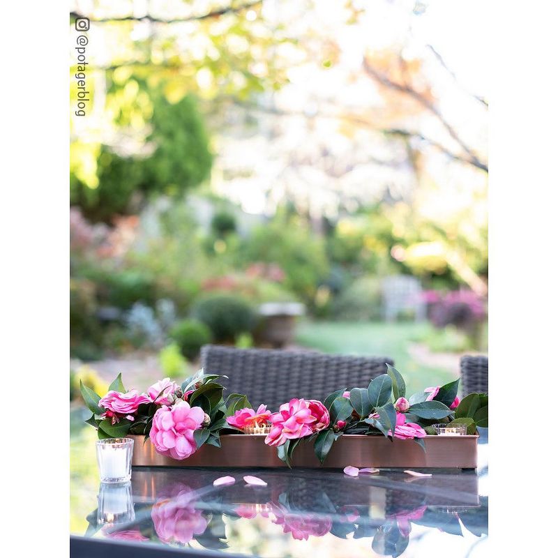 Gardener's Supply Company 18" Rectangular Copper Plant Tray | Watertight Elegant Planter for Indoor Outdoor Decor Plants, Herbs & Succulents | Durable, 2 of 5