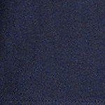 radiant navy