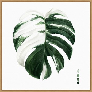 Amanti Art Variegated Monstera II by Grace Popp Canvas Wall Art Print Framed 22 x 22-in. - 1 of 4