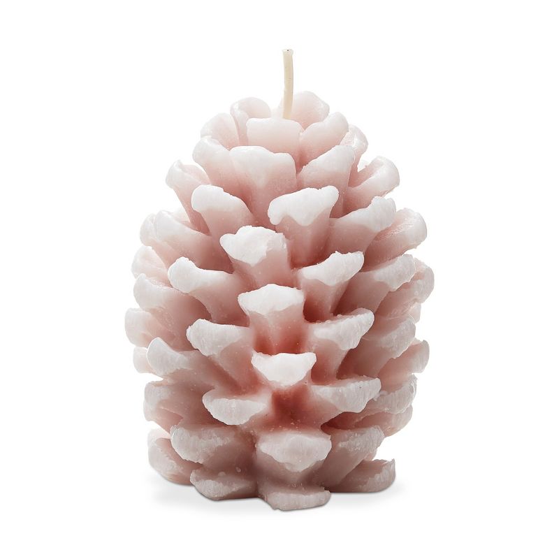 tag Frosted Pine Cone Candle Blush, 1 of 3