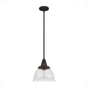Hunter Fans Cypress Grove 1 - Light Pendant in  Onyx Bengal - 1 of 2