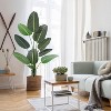 Acekool Artificial Bird of Paradise Plant, Trunk Tropical Palm Tree, Indoor Floor Decor, Banana Leaf for Home, Living Room, Office - 4 of 4