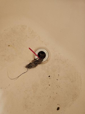 Guest review image 1 of 4, zoom in