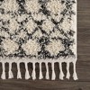 Hauteloom Buan Berber Shag Rug - 4 of 4