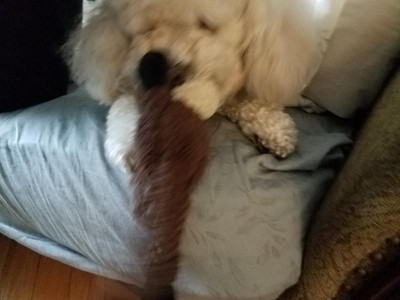 Guest review image 2 of 3, zoom in