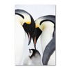 Trademark Fine Art -Robert Harding Picture Library 'Baby Penguin' Canvas Art - 2 of 3