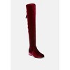 Rumple Velvet Over The Knee Clear Heel Boots Women - 2 of 4