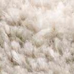 off white, medium gray