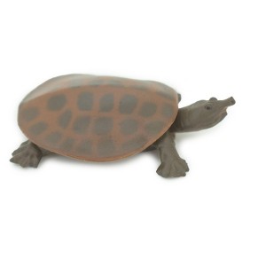 Collectible Wildlife Gifts | Softshell Turtle, Apalone spinifera, Freshwater Turtle, Hand Painted, Rubber Reptile, Realistic Gift,  2"  SF38 B15 - 1 of 4