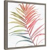 Amanti Art Tropical Blush VI by Lisa Audit Canvas Wall Art Print Framed 16-in. x 16-in. - 3 of 4