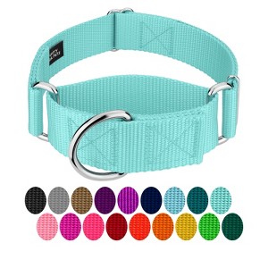 Country Brook Petz HossFit Jr Wide Martingale Dog Collar - Training Collar with No Buckle - Vibrant, Colorful Collection - 1 of 4