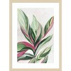 Amanti Art Leaves of Pink II by Asia Jensen Wood Framed Wall Art Print - 4 of 4