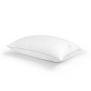 Martha Stewart Standard/Queen 2pk Flat No More Bed Pillow: Cotton Cover, 300 Thread Count, Medium/Firm Support - 4 of 4