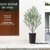 Kazeila UV Resistant 6-7FT Artificial Pre Potted Olive Tree with Brown Tall Planter for Indoor Outdoor Office House Decor - 2 of 4