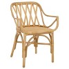 Serafima Rattan Arm Chair - ACH6702 - Safavieh - 4 of 4