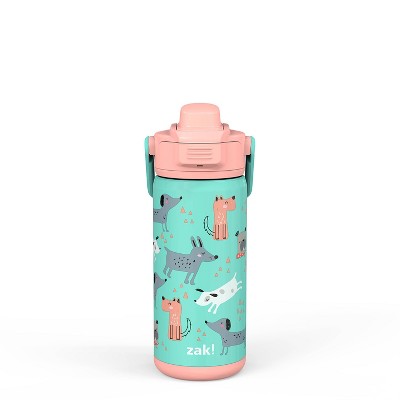 Zak! Designs Dinomite Antimicrobial Stainless Steel Double Walled Leakproof  Water Bottle + Straw, 1 ct - Fry's Food Stores