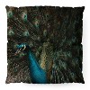 Ingrid Beddoes Peacock And Proud IV Square Floor Pillow - Deny Designs - 2 of 4