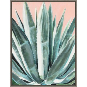 18" x 24" Laughter Succulent by Alana Clumeck Framed Canvas Wall Art Gray - Amanti Art - 1 of 4