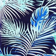 navy palm