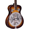 Regal RD-40 Resonator - 4 of 4
