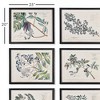 Plum & Post Berry Branch Botanical Study, Set Of 6 - 2 of 2