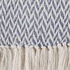 50"x60" Zig-Zag Throw Blanket - Design Imports - 3 of 4