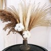 Alilang Pampas Grass and Cotton Dried Floral Arrangement with Wheat Accents, 17.5 Inches - Coffee - 2 of 4