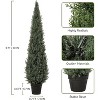 3/4 /5ft Artificial Cedar Tree, Home Decor Fake Cypress Potted Imitation Evergreen Plants for Indoor and Outdoor Front Porch Garden Decorative Fruit - 3 of 4