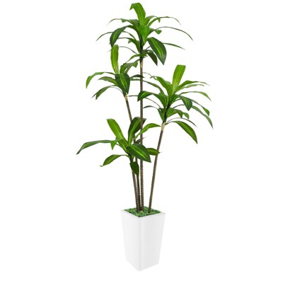 Artificial Tree in Pot with Realistic Leaves & Natural Wood Trunk