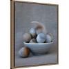 Amanti Art The Feather by Tania Soderman Framed Canvas Wall Art - 3 of 4