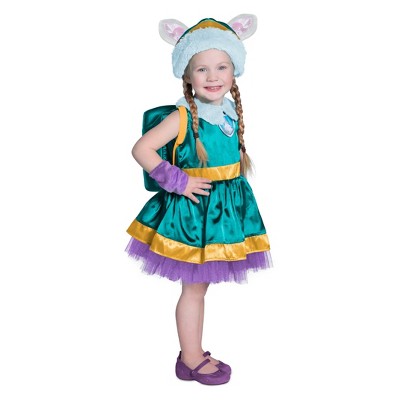 infant skye paw patrol costume