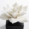 Cyan Design - Calendine - Medium Sculpture - 5 Inches Wide By 5.75 Inches Long - 2 of 4