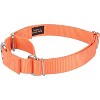 Country Brook Petz Martingale Heavyduty Nylon Dog Collar and Double Handle Leash - 4 of 4