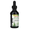 Herbs Etc. ChlorOxygen®, Chlorophyll Concentrate, Alcohol Free, Mint, 2 fl oz (59 ml) - 4 of 4
