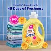 Suavitel Liquid Fabric Softener and Conditioner - Morning Sun - 105 fl oz - 4 of 4