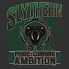 Mens Harry Potter Slytherin Pride and Ambition Lightweight Hoodie - 2 of 4