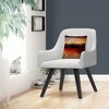 Decorative Throw Pillow_5 by Trademark Fine Art - 3 of 4