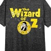 Wizard Of Oz Dorothy Movie Logo Crew Neck Short Sleeve Charcoal Heather Women's Night Shirt - 2 of 2