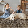 Hallway Runner Rug Machine Washable Vintage Rug Indoor Carpet - 4 of 4