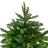 Northlight 6.5' Gunnison Pine Artificial Christmas Tree - Unlit - 4 of 4