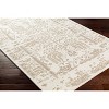 Hauteloom Buagsong Area Rug - 4 of 4