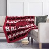 NCAA Arkansas Razorbacks Repeat Refresh Ultra Soft Blanket - 3 of 3