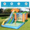 Dexmalle Tropical Inflatable Water Slide Summer Theme Jumping Castle - 3 of 4