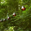 LumaBase Electric Café String Lights with 10 Brown Metal Domes - 3 of 4