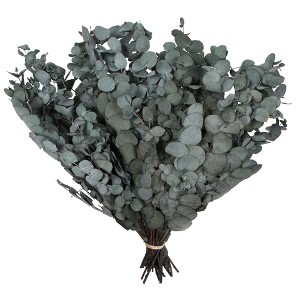 Vickerman Natural Botanicals 18-20" x 9" Eucalyptus Spiral, 100 grams per unit - 1 of 4