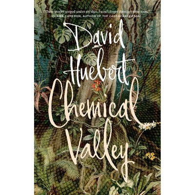 Chemical Valley - by  David Huebert (Paperback)