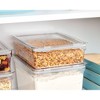 iDesign Large Food Storage Bin with Airtight Lid for Kitchen or Pantry Storage - Set of 2 - Clear - 4 of 4