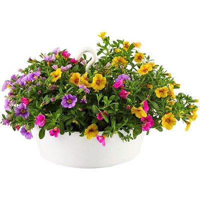 White 10-Inch Single Tier Hanging Planter for Indoor/Outdoor Use