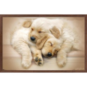 Trends International Keith Kimberlin - Puppies - Golden Retrievers Cuddling Framed Wall Poster Prints - 1 of 4